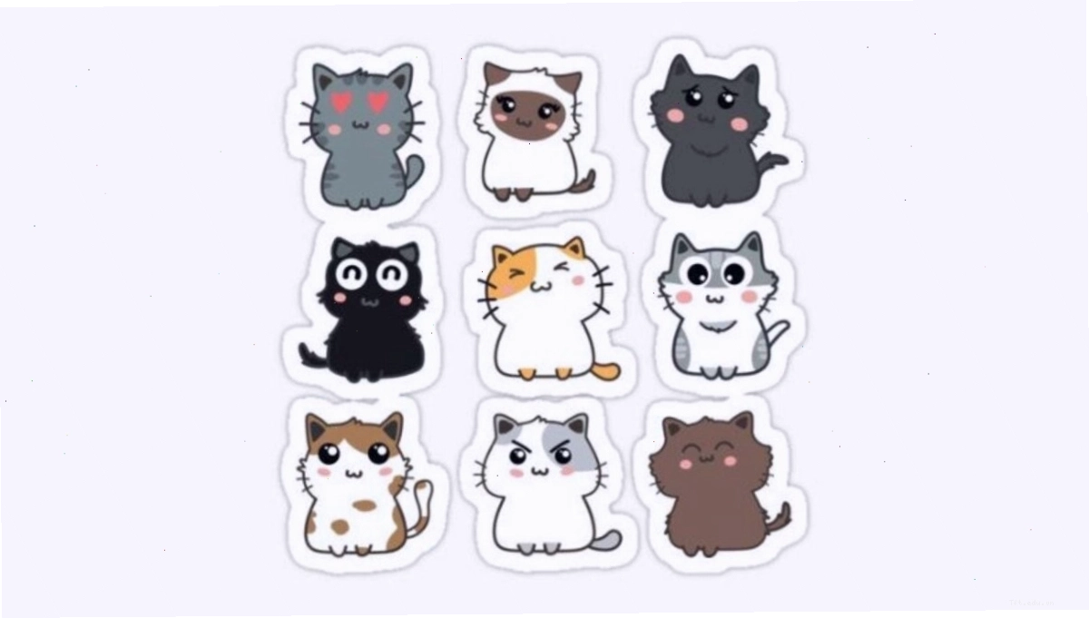 Mèo chibi cute đang ngủ gật trên một chiếc gối mềm