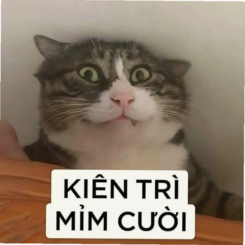 Mèo nhe răng mếu máo