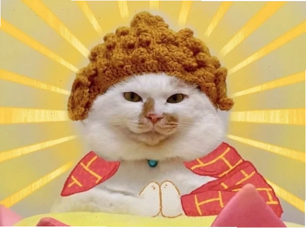 Mô Phật meme (1) thể hiện sự bất ngờ