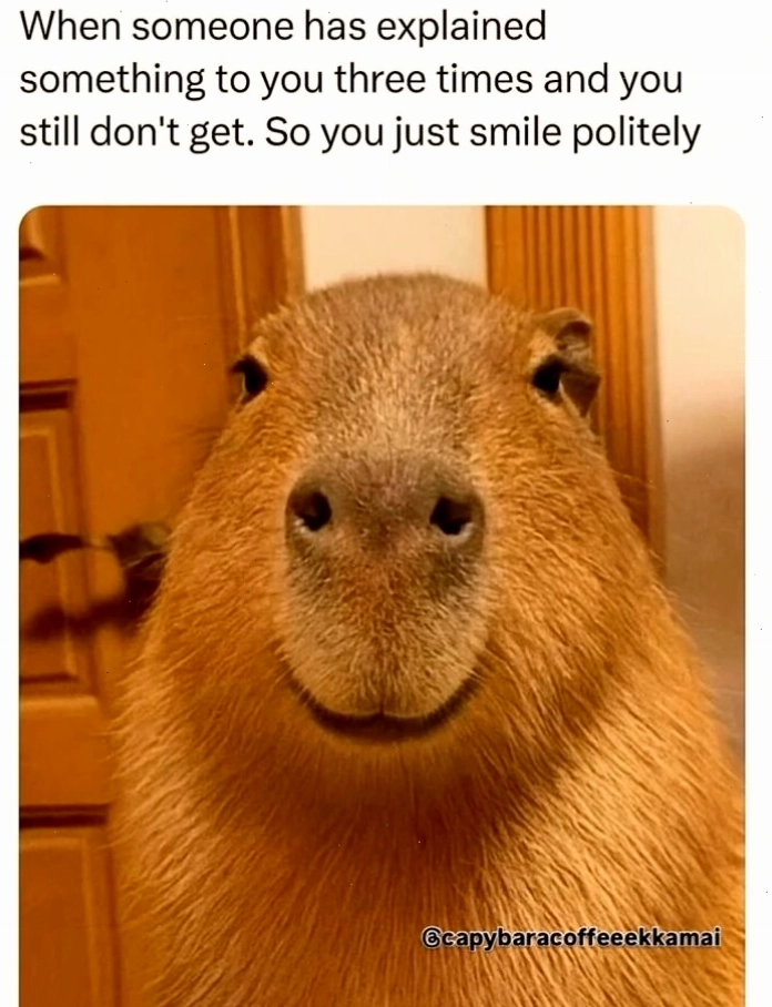 Nhiều chú Capybara cùng nhau ngồi