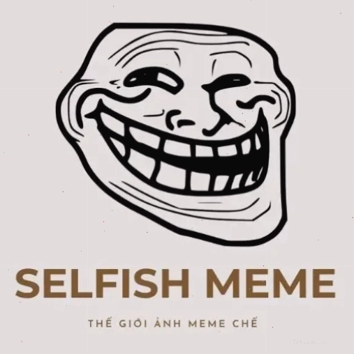 Selfish Meme - Hình ảnh mèo biểu cảm lạ