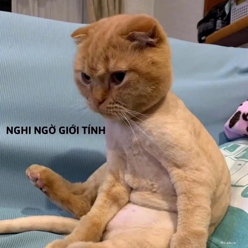 Thả cười với meme mặt nghi ngờ siêu hài
