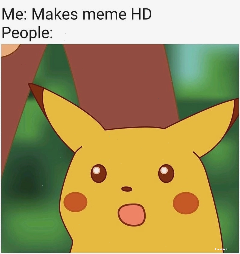 Thức dậy cùng những hình meme wow dễ thương và vui nhộn