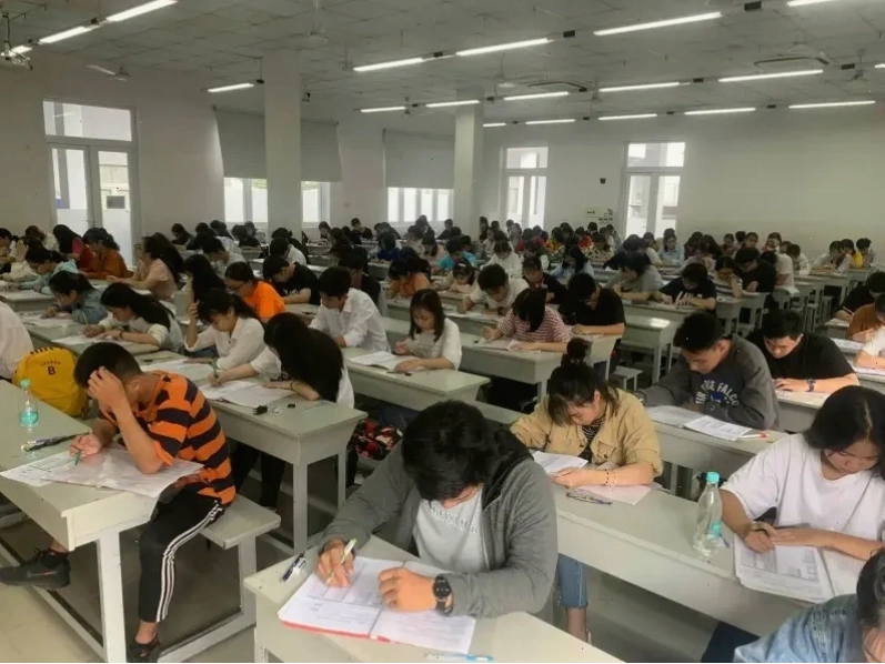Tìm kiếm avatar cỏ 4 lá may mắn