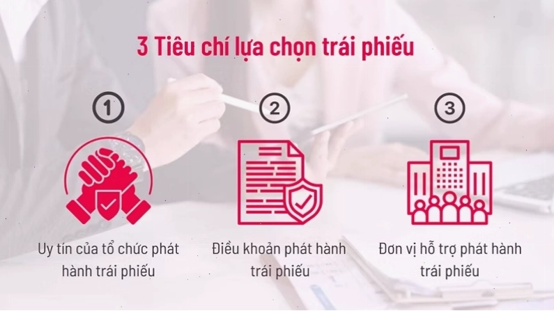 Hoạt động đầu tư vào trái phiếu doanh nghiệp chuyên nghiệp