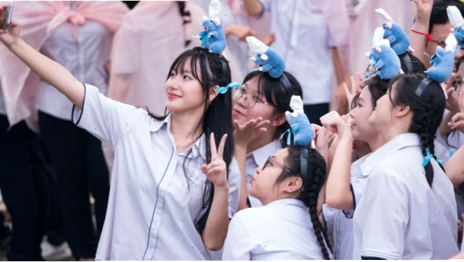 Tạo hình chibi chibi các loài chim ngoại lai đầy màu sắc