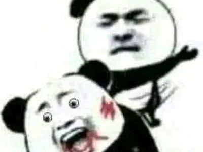 140+ Ảnh Meme Gấu Hài Hước Nhất 2026 Tạo Niềm Vui