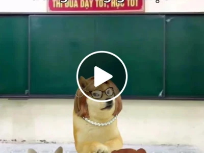 389+ Meme Bất Ngờ Khiến Bạn Cười Không Ngừng Nghệ