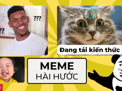 750+ Avatar Meme Mèo Bựa: Biểu Cảm Hài Hước Độc Lạ Cho Mạng Xã Hội