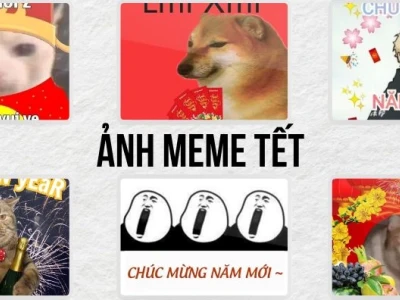 Avatar Meme Tết 2026: Khoảnh Khắc Cười Thả Ga Cùng Không Khí Xuân