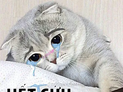 Khám phá 40+ Meme Bác Sĩ Hài Hước Nhất Năm 2026