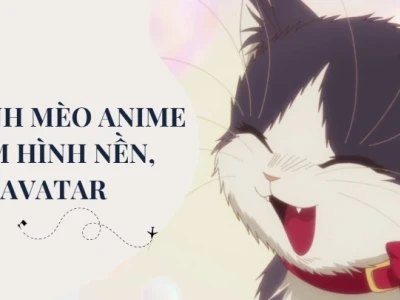 Khám phá bộ sưu tập con mèo cute chibi đáng yêu