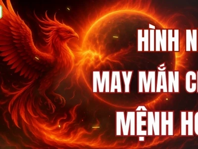 Khám phá cây hình nền hợp mệnh Hỏa: Mang tài lộc và may mắn đến không gian sống