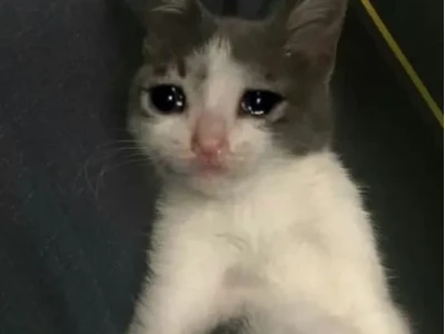 Khám phá thế giới Crying Meme: Biểu cảm buồn cười và độc đáo