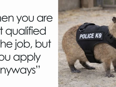 Khám phá Thế giới Meme Capybara Hài hước và Đáng yêu