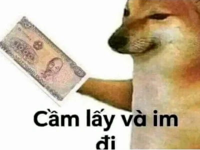 Khám phá thế giới meme mèo xỉu: Cười thả ga với loạt ảnh hài hước