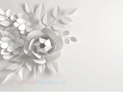 Khám phá Vẻ đẹp 3D Sống động của Hình nền Hoa hồng