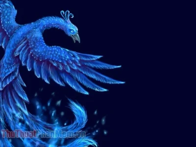 Khám phá vẻ đẹp huyền bí với hình nền phượng hoàng lửa và vàng