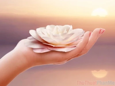 Khám phá vẻ đẹp tĩnh tâm qua những hình nền ý nghĩa