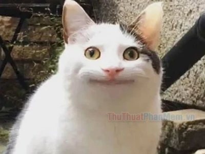 Meme 'Ai biết gì đâu': Cơn sốt hài hước khó đỡ trên mạng xã hội