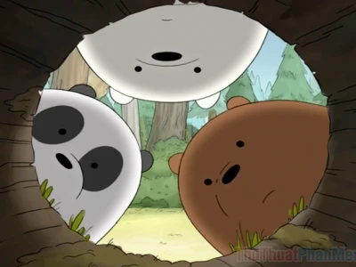 Top hình nền avatar gấu cute và ý nghĩa cho năm 2026