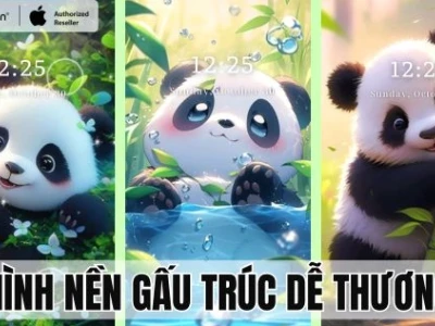 Tuyển Tập Hình Nền Điện Thoại Gấu Trúc Cực Dễ Thương Cho Năm 2026