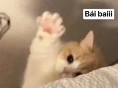 Tuyển tập Meme Tạm Biệt Hài Hước và Cảm Động Năm 2026